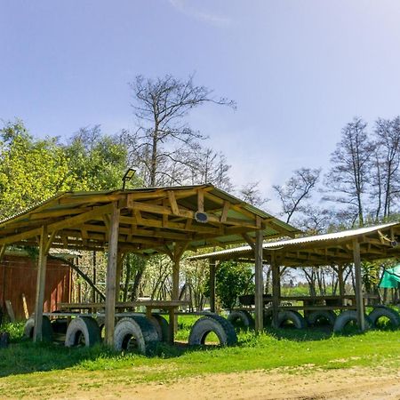 Coyunche Cabanas Y Camping Laja & San Rosendo Ngoại thất bức ảnh