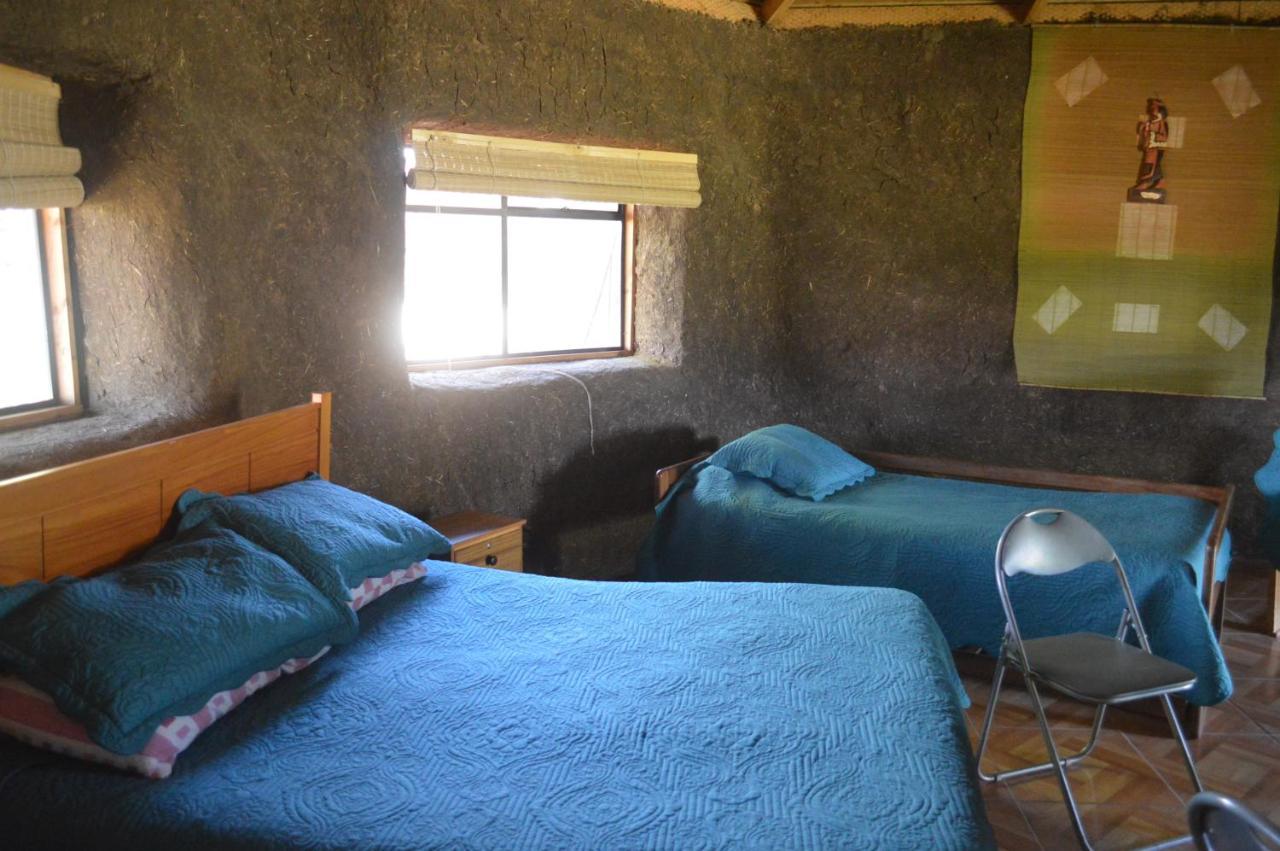 Coyunche Cabanas Y Camping Laja & San Rosendo Ngoại thất bức ảnh