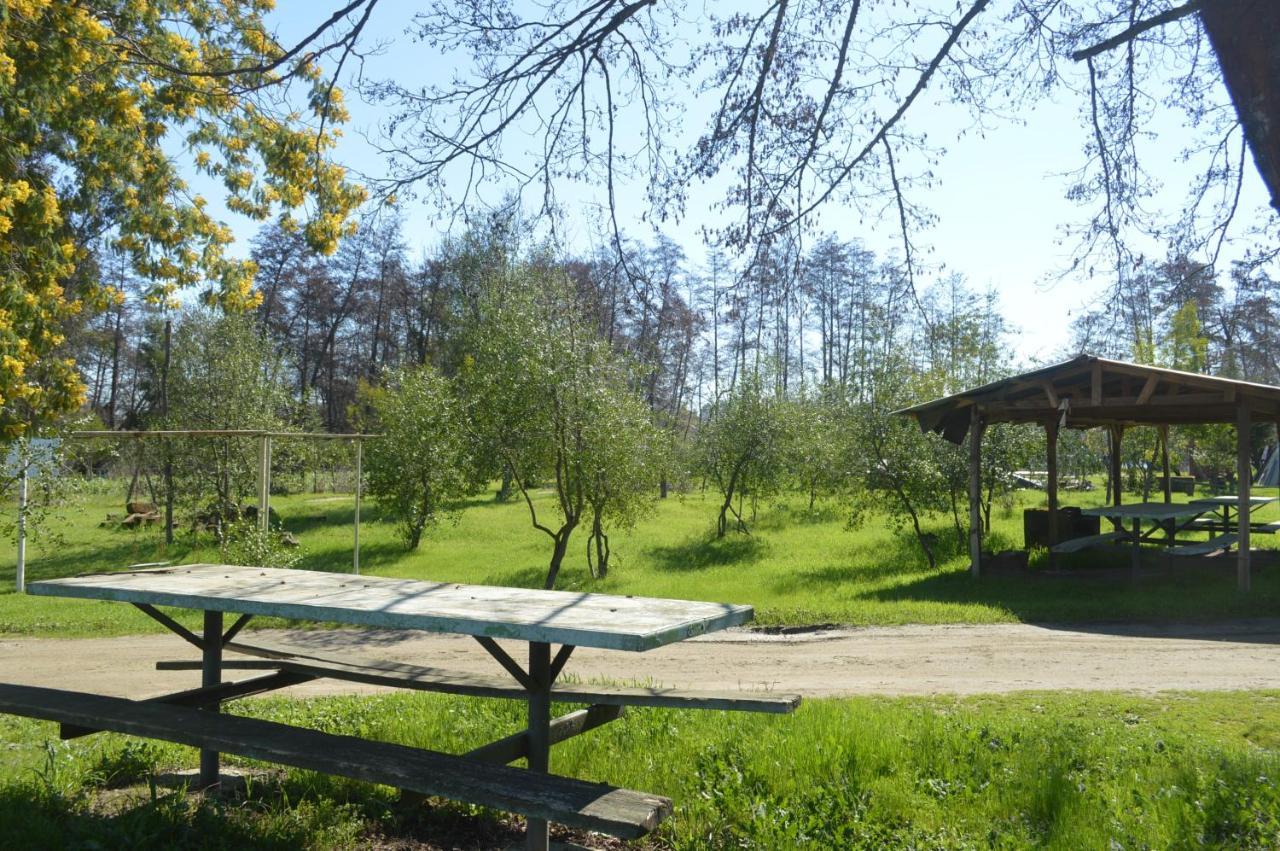 Coyunche Cabanas Y Camping Laja & San Rosendo Ngoại thất bức ảnh