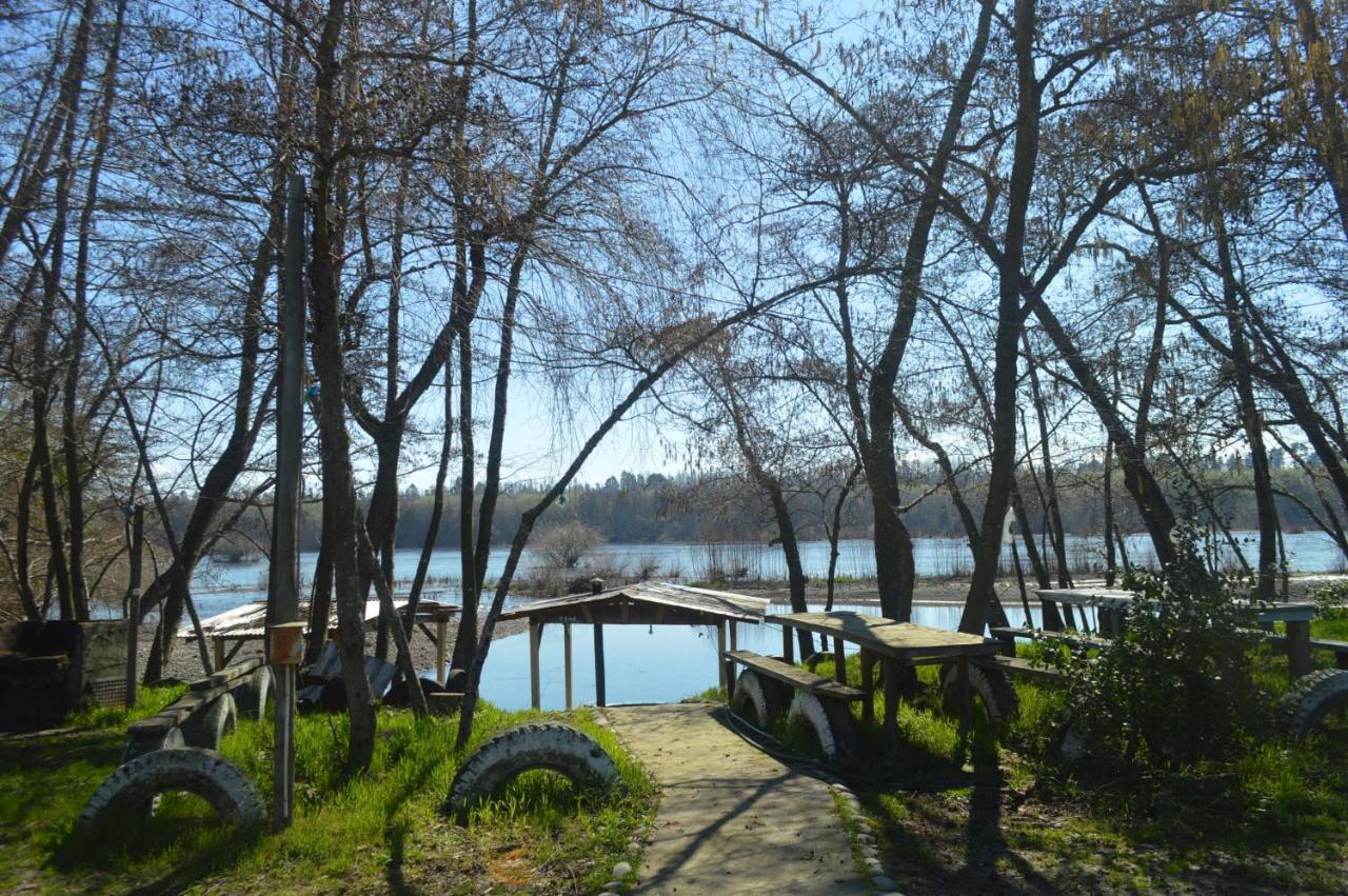 Coyunche Cabanas Y Camping Laja & San Rosendo Ngoại thất bức ảnh