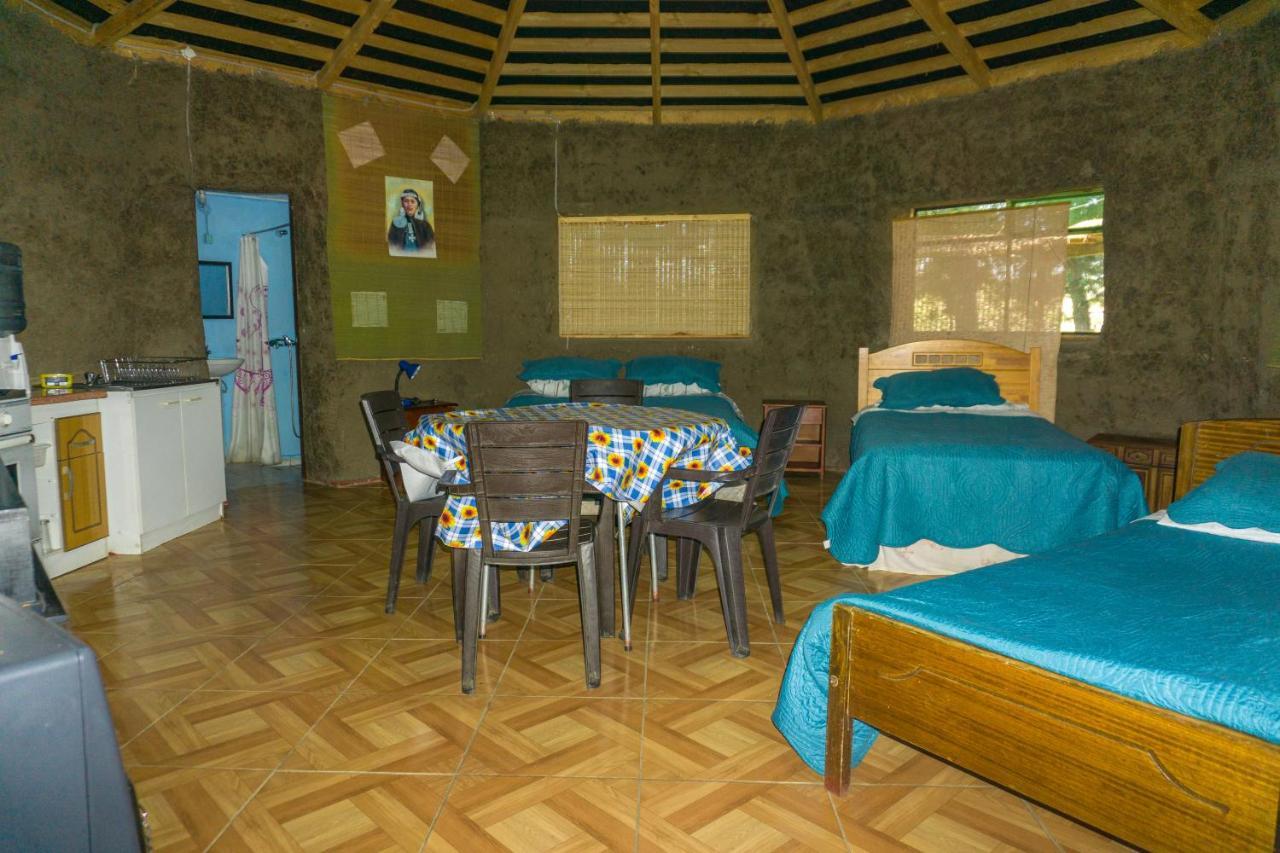 Coyunche Cabanas Y Camping Laja & San Rosendo Ngoại thất bức ảnh