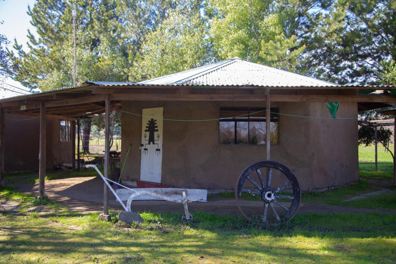 Coyunche Cabanas Y Camping Laja & San Rosendo Ngoại thất bức ảnh