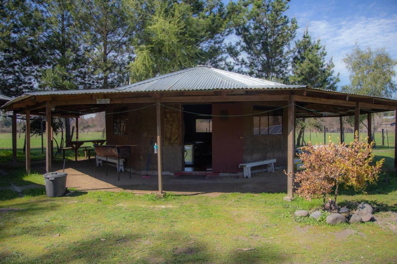 Coyunche Cabanas Y Camping Laja & San Rosendo Ngoại thất bức ảnh