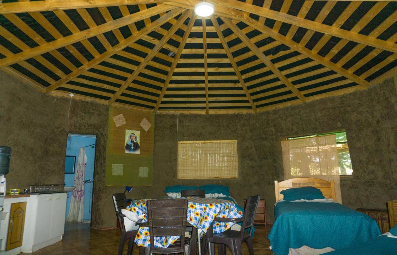 Coyunche Cabanas Y Camping Laja & San Rosendo Ngoại thất bức ảnh