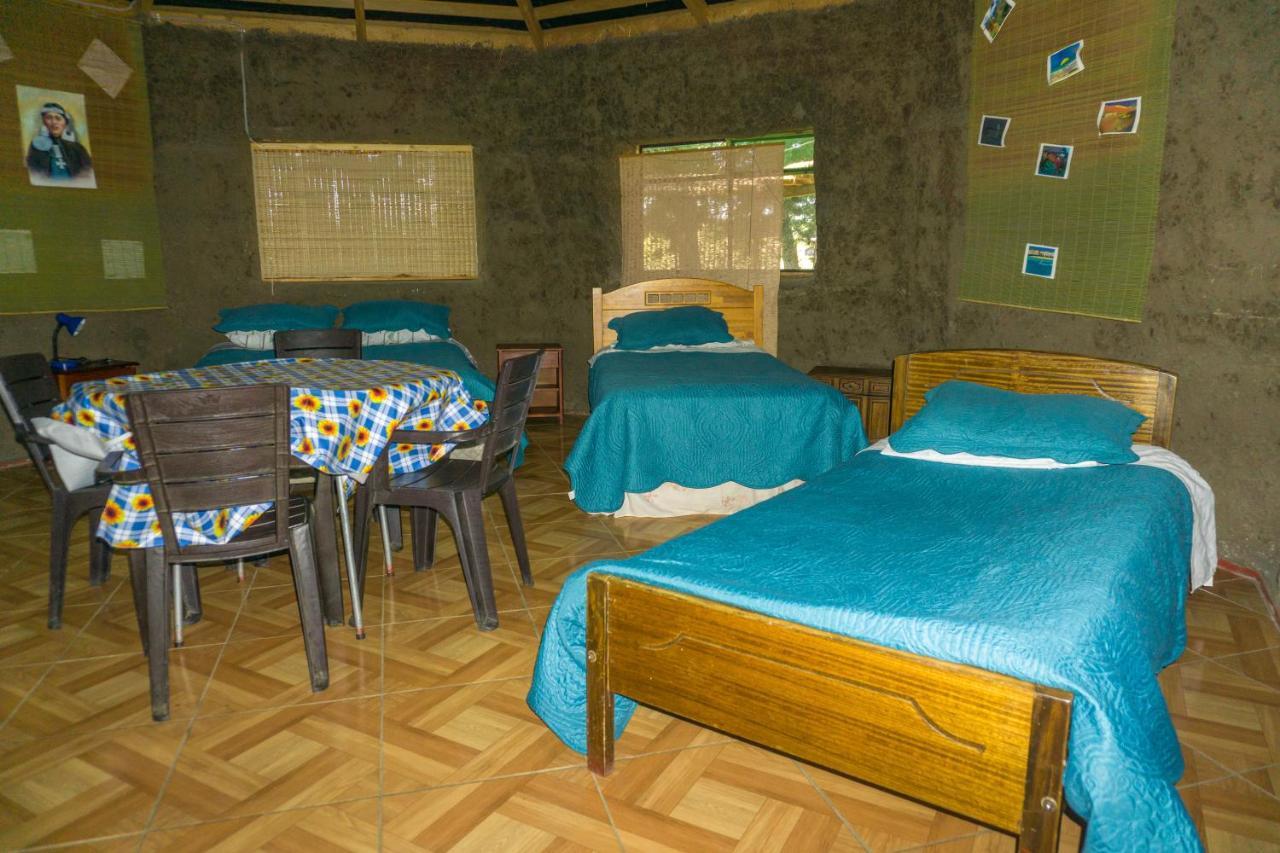 Coyunche Cabanas Y Camping Laja & San Rosendo Ngoại thất bức ảnh