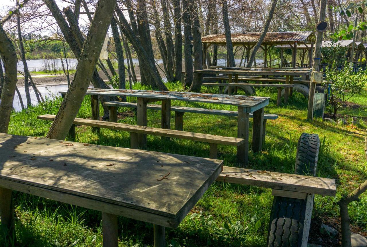 Coyunche Cabanas Y Camping Laja & San Rosendo Ngoại thất bức ảnh