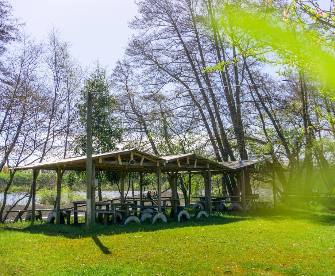 Coyunche Cabanas Y Camping Laja & San Rosendo Ngoại thất bức ảnh