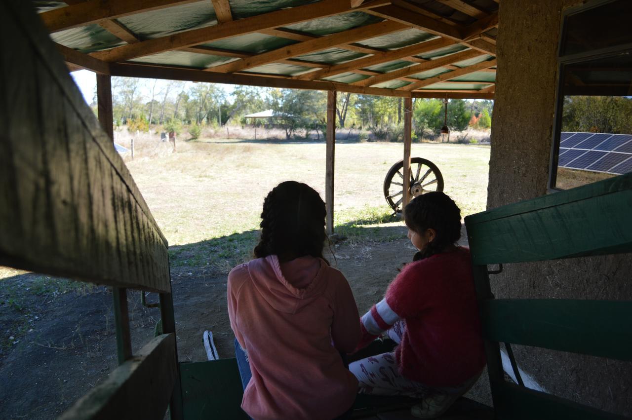 Coyunche Cabanas Y Camping Laja & San Rosendo Ngoại thất bức ảnh
